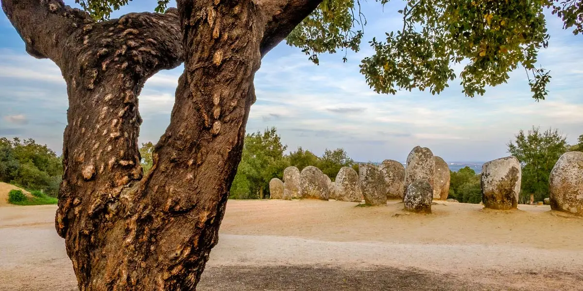 A Tranquil Escape: Your Day Trip Guide from Lisbon to Alcácer do Sal