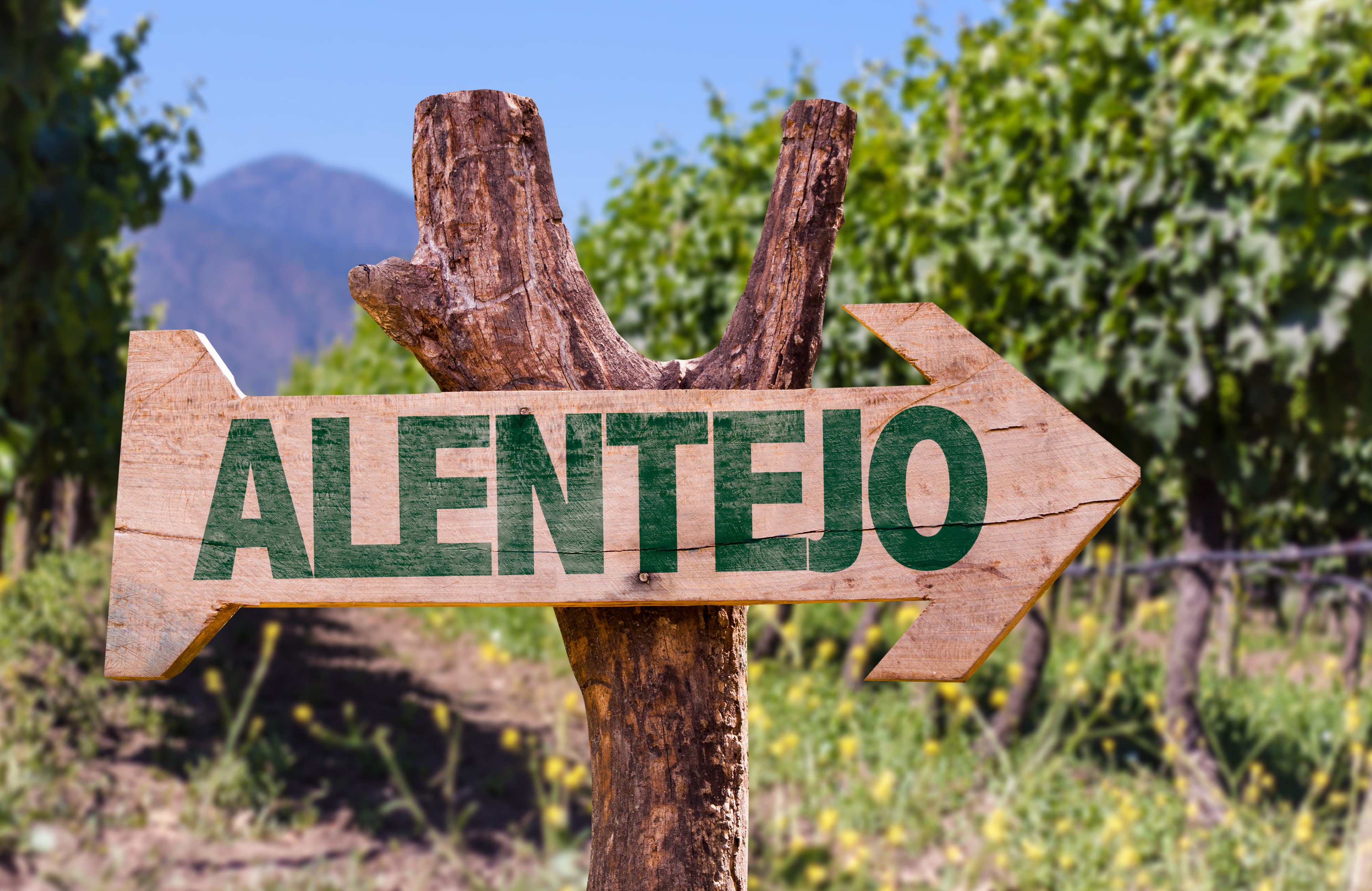 Luxury Yachting on the Alentejo Coast: A Practical Charter Guide