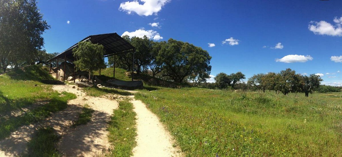 Reaching L'AND Vineyards: Best Private Transfer Options