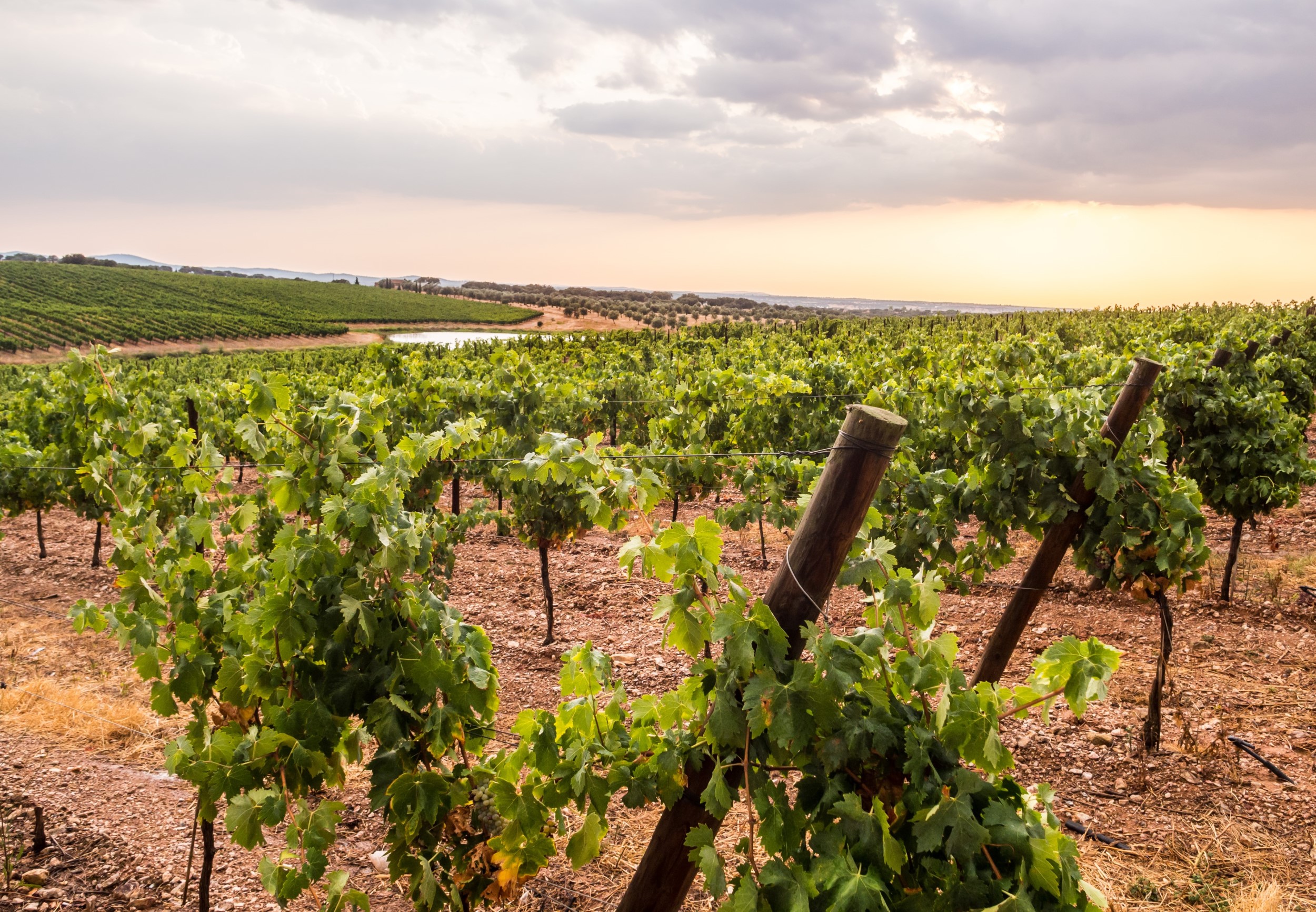 Day Trips from Herdade da Malhadinha Nova: Alentejo Adventures