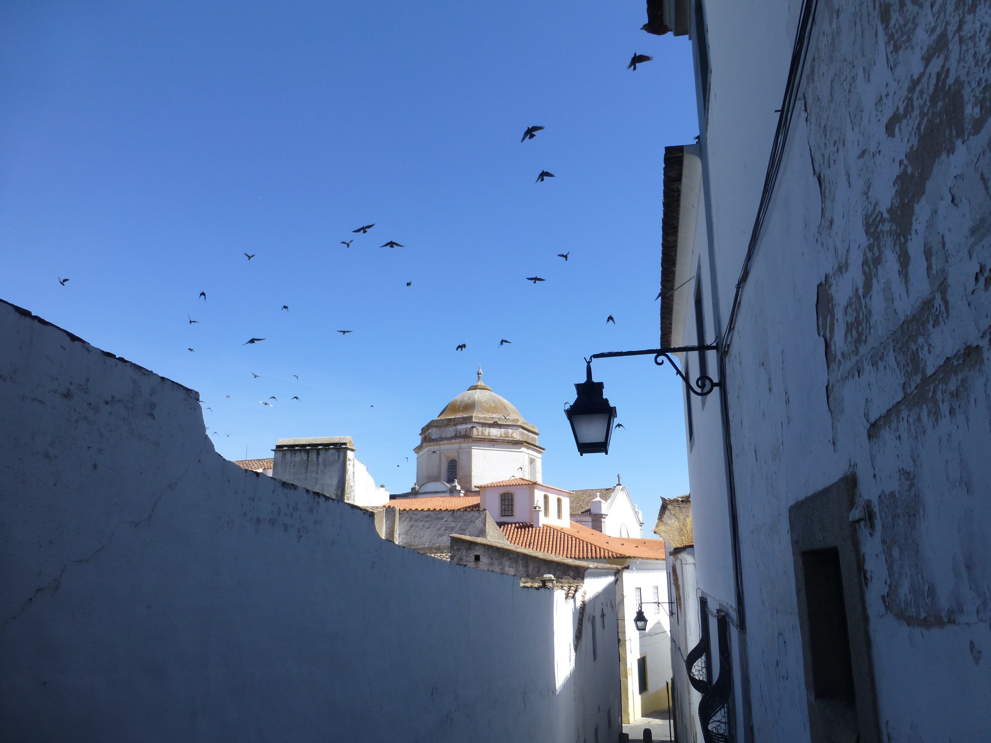Exploring Alentejo: Day Trips from Évora's M'AR De AR Aqueduto